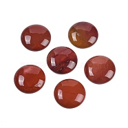 Natural Mookaite Cabochons, Half Round/Dome, 25x5.5mm(G-H1596-FR-25mm-18)