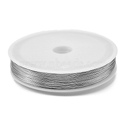 Baking Painted Iron Wire, Round, Silver, 0.5mm, 24 Gauge, about 262.47 Feet(80m)/Roll(MW-NH0001-01A)