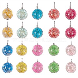 20Pcs 10 Colors Transparent Glass Pendants, with Dried Flower inside and Stainless Steel Finding, Flat Round, Mixed Color, 23.5x15x12mm, Hole: 1.5mm, 2pcs/color(GLAA-SZ0001-71)
