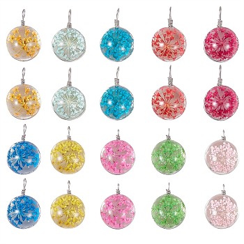 20Pcs 10 Colors Transparent Glass Pendants, with Dried Flower inside and Stainless Steel Finding, Flat Round, Mixed Color, 23.5x15x12mm, Hole: 1.5mm, 2pcs/color