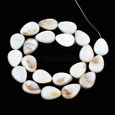 Shell normal de perles blanches de brins(X-PBB263Y-1)-4