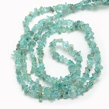 Natural Apatite Chip Beads Strands(G-L154-23)-3