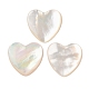 Natural White Shell Cabochons(SSHEL-C012-20)-1