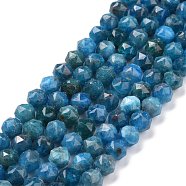 Natural Apatite Beads Strands, Star Cut Round Beads, Faceted, 7~8x8mm, Hole: 0.9mm, about 49pcs/strand, 14.92 inch(37.9cm)~15.75 inch(40cm)(G-K323-13)
