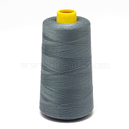 100% Spun Polyester Fibre Sewing Thread, Slate Gray, 0.1mm, about 5000yards/roll(OCOR-O004-A64)