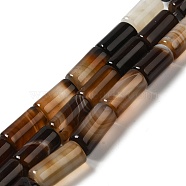 Natural Agate Beads Strands, Dyed & Heated, Column, Coconut Brown, 8~8.5x14.5~16mm, Hole: 1.6mm, about 12pcs/strand, 7.20~7.48''(18.3~19cm)(G-H295-E01-07)