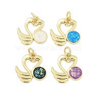 Brass Pave Synthetic Opal Swan Pendants, with Jump Rings, Long-Lasting Plated, Rack Plating, Lead Free & Cadmium Free, Mixed Color, Real 18K Gold Plated, 16x16x2mm, Hole: 3.2mm(KK-I723-07G)