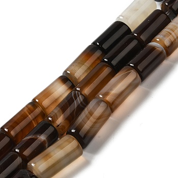 Natural Agate Beads Strands, Dyed & Heated, Column, Coconut Brown, 8~8.5x14.5~16mm, Hole: 1.6mm, about 12pcs/strand, 7.20~7.48''(18.3~19cm)