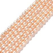Natural Cultured Freshwater Pearl Beads Strands, Rice, Grade 3A, PeachPuff, 4.5~5x3~4x3~4mm, Hole: 0.5mm, about 73~74pcs/strand, 13.90''~14.17''(35.3~36cm)(PEAR-E016-127)