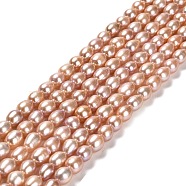 Natural Cultured Freshwater Pearl Beads Strands, Rice, Grade 5A, Chocolate, 7~10x6~7mm, Hole: 0.6mm, about 44~48pcs/strand, 14.17~14.37 inch(36~36.5cm)(PEAR-E016-194B)