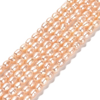 Natural Cultured Freshwater Pearl Beads Strands, Rice, Grade 3A, PeachPuff, 4.5~5x3~4x3~4mm, Hole: 0.5mm, about 73~74pcs/strand, 13.90''~14.17''(35.3~36cm)