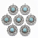 Tibetan Style Alloy Pendants(PALLOY-R113-002-RS)-1