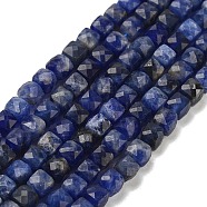 Natural Sodalite Beads Strands, Faceted, Cube, 3.5~4.5x3.5~4x3.5mm, Hole: 0.6mm, about 103~106pcs/strand, 15.55'~15.75''(39.5~40cm)(G-H042-A08-02)