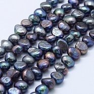 Natural Cultured Freshwater Pearl Beads Strands, Dyed, Two Sides Polished, Midnight Blue, 7~8x7~9x5~8mm, Hole: 0.8mm, about 45pcs/strand, 13.19 inch~13.39 inch(33.5~34cm)(PEAR-K004-10C)