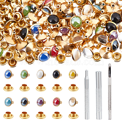 100Pcs 10 Color Round Brass Semi-Tublar Rivets, with 1 Set Iron Handmade Hole Hollow Punch Cutting Mold Tools, for Leather Craft Making, Golden, 9x7.5mm, Hole: 2.5mm, Pin: 2.7mm, 10Pcs/color(DIY-NB0010-30)