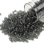 TOHO Round Seed Beads, Japanese Seed Beads, (9BF) Black Diamond Transparent Matte, 8/0, 3mm, Hole: 1mm, about 1110pcs/50g(SEED-XTR08-0009BF)