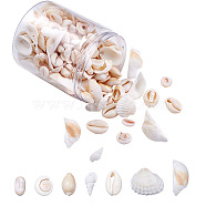 DIY Natural Shell Jewelry Making Finding Kits, Including Shell Pendants & Beads, Mixed Color, 21.5~24.5x27~30.5x8.5~11.5mm, Hole: 1.5~1.6mm, 210pcs/box(DIY-BT0001-37)