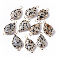 Natural Dalmatian Jasper Links connectors, with Golden Tone Brass Cabochon Connector Settings, Prong Settings, Faceted, Teardrop, 27x14x6mm, Hole: 2mm(X-G-S359-035A)