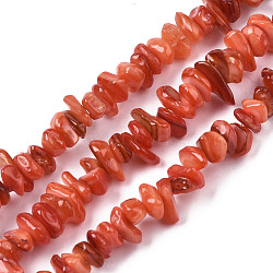 Natural Freshwater Shell Beads Strands, Dyed, Chips, Orange Red, 2~6x4~14x4.5~8.5mm, Hole: 0.7~0.8mm, about 258~292pcs/strand, 31.10 inch~32.05 inch(79cm~81.4cm)(SHEL-S278-070C)