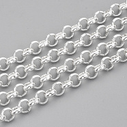 3.28 Feet 304 Stainless Steel Rolo Chains, Belcher Chain, Unwelded, Silver Color Plated, 6x2mm(X-CHS-T002-04F)