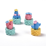 Mini Cactus Bonsai Resin Display Ornaments Set, for Home Desktop Decorations, Colorful, 24~26x24.5~25x35~37mm(DJEW-Z002-01)