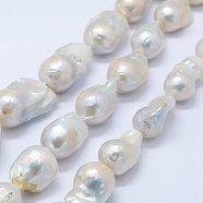 Natural Baroque Pearl Keshi Pearl Beads Strands, Cultured Freshwater Pearl, Nuggets, Creamy White, 20~30x15~19x15mm, Hole: 0.5mm, about 20pcs/strand, 15.3 inch(PEAR-K004-17)