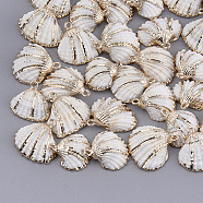 Electroplate Sea Shell Pendants, with Iron Findings, Golden, Seashell Color, 18~30x19~28x7~10mm, Hole: 1.6mm(SSHEL-S261-06)