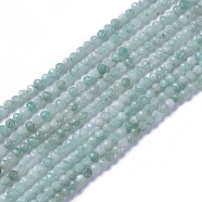 Natural Amazonite Beads Strands, Faceted, Round, 2~3x2~2.5mm, Hole: 0.2mm, about 181~210pcs/strand, 15.9~16.3 inch(40.4~41.5cm)(G-F596-01-2mm)