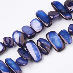 Freshwater Shell Beads Strands, Dyed, Nuggets, Blue, 6~25x4~14x3~7mm, Hole: 1mm, about 96~100pcs/strand, 31.4 inch(SHEL-S274-40E)