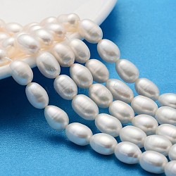 Natural Cultured Freshwater Pearl Beads Strands, Rice, Creamy White, 7~8mm, Hole: 0.8mm, about 45pcs/strand, 13.77 inch~14.17 inch(X-PEAR-L001-15)