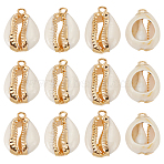 12Pcs Electroplate Cowrie Shell Pendants, with Iron Findings, Golden, 17~25x10~15x5~7mm, Hole: 1.5mm(SHEL-LP0001-05)