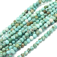 Natural Howlite Beads Strands, Dyed & Heated, Round, 6mm, Hole: 0.8mm, about 63pcs/strand, 14.76 inch(37.5cm)(G-L555-02-6mm)