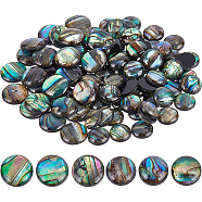 Paua Shell Cabochons, Half Round, 8~10x2~3mm, 90pcs(SHEL-BC0001-018)