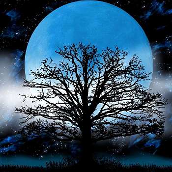 DIY Moon & Tree Pattern 5D Diamond Painting Kits, Including Waterproof Painting Canvas, Rhinestones, Diamond Sticky Pen, Plastic Tray Plate and Glue Clay, Dodger Blue, Canvas: 250x250mm