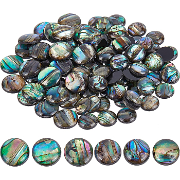 Paua Shell Cabochons, Half Round, 8~10x2~3mm, 90pcs