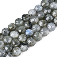 Natural Labradorite Beads Strands, Faceted, Flat Round, 6x4.5mm, Hole: 0.8mm, about 59~60pcs/strand, 14.17~14.57 inch(36cm~37cm)(X-G-S354-24-A)