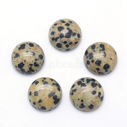 Natural Dalmatian Jasper Cabochons, Half Round, 10x4~5mm(X-G-P393-R33-10MM)