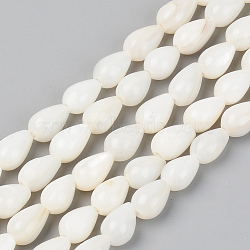Natural Freshwater Shell Beads Strands, Teardrop, Seashell Color, 7~8x5mm, Hole: 0.8mm, about 52pcs/Strand, 14.96 inch(38cm)(X-SSHEL-R048-007B)