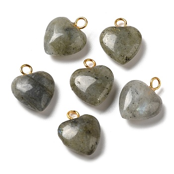 Natural Labradorite Pendants, Heart Charms with Golden Plated Brass Loops, 15~15.5x12~12.5x4.5~5.5mm, Hole: 2mm