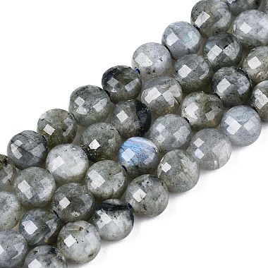 Flat Round Labradorite Beads