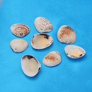 Natural Clam Shell Beads, Seashell Color, 20~32x21~37x5~10mm, Hole: 1.5mm(BSHE-S114)