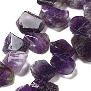 Natural Amethyst Beads Strands, Nuggets, Top Drilled, 16~17x18~23.5x6~8mm, Hole: 0.7mm, about 15pcs/strand, 7.28~7.72''(18.5~19.6cm)(G-P528-K09-01)