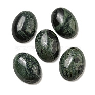 Natural Kambaba Jasper Cabochons, Oval, 18x13x5~5.5mm(G-C115-01A-22)