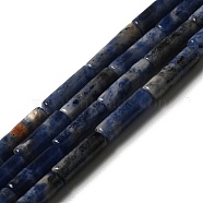Natural Sodalite Beads Strands, Column, 13.5~14x4~4.5mm, Hole: 1.2mm, about 28pcs/strand, 15.16''(38.5cm)
(G-D464-25)