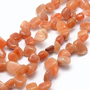 Natural Red Aventurine Beads Strands, Tumbled Stone, Nuggets, 11~22x8~11x4~10mm, Hole: 1mm, 15.3 inch(G-K220-27)