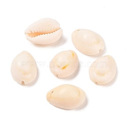 Cowrie Shell Pendants, White, about 17~22mm long, 11~16mm wide, 9~11mm thick, hole:about 1mm(X-PTS057Y)