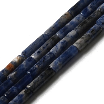Natural Sodalite Beads Strands, Column, 13.5~14x4~4.5mm, Hole: 1.2mm, about 28pcs/strand, 15.16''(38.5cm)
