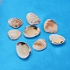 Natural Clam Shell Beads(BSHE-S114)-1