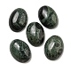 Natural Kambaba Jasper Cabochons(G-C115-01A-22)-1