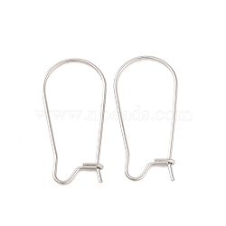 Tarnish Resistant 316 Surgical Stainless Steel Hook Earrings, Stainless Steel Color, 25x12mm, Pin: 0.7mm(STAS-E009-5)